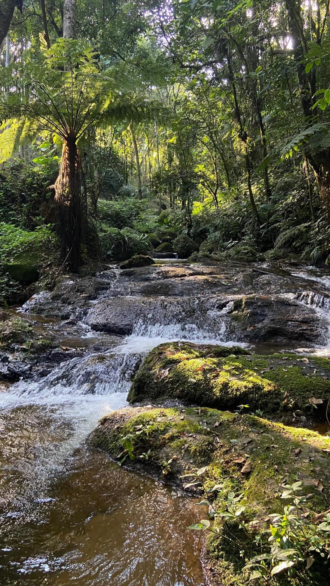 Pousada Caminhos De Gaia เซาฟรันซิสโกซาเวียร์ ภายนอก รูปภาพ